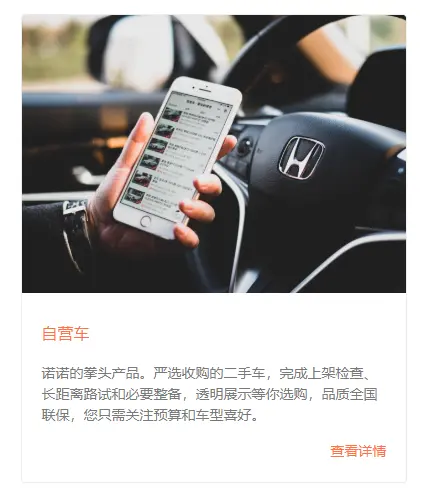 诺诺日记 淘车 自营 怎么选 纠结诺粉释怀篇 哔哩哔哩