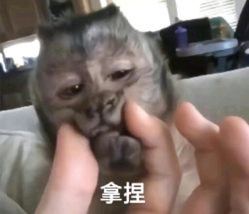 吗喽表情包之第四部分(9张) - 哔哩哔哩