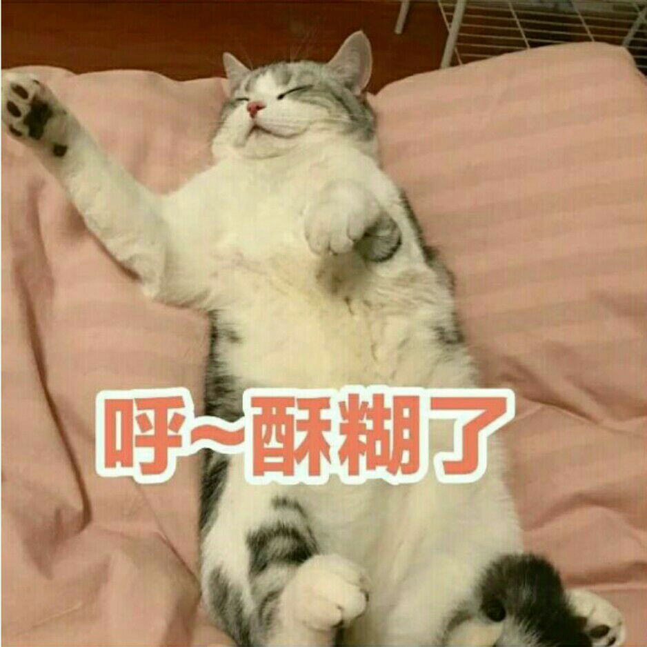 雷安结婚后的100问④