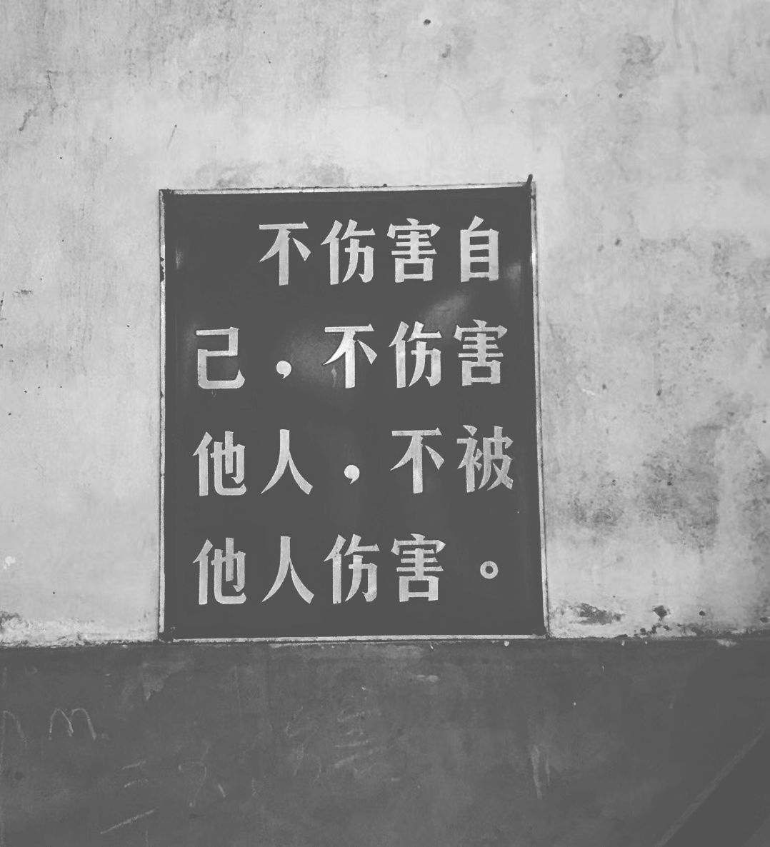 谢谢你们。我爱你们。