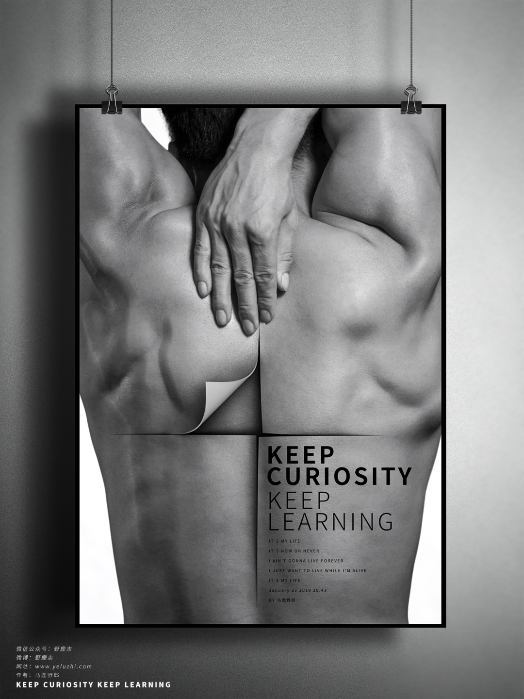 (图文+视频)C4D野教程:换一种方法制作撕背效