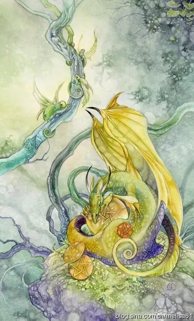 花影塔罗个人解读 圣杯 钱币 哔哩哔哩