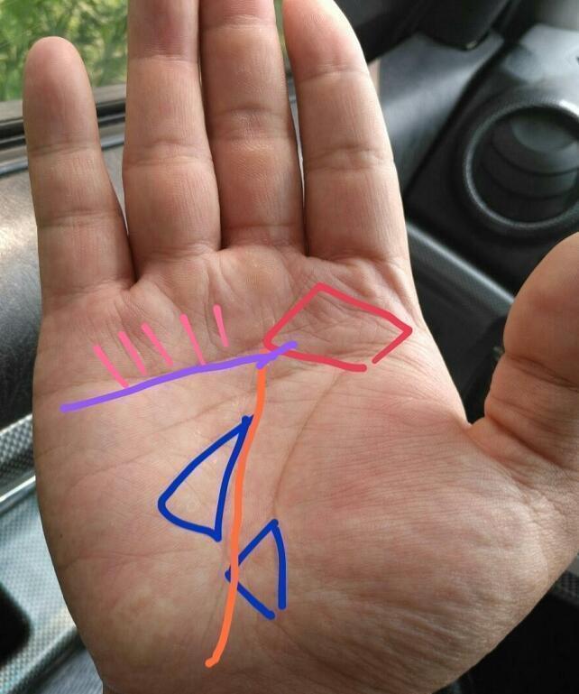 一生婚姻幸不幸福 这条手纹告诉你 哔哩哔哩