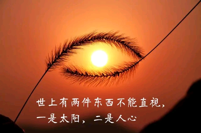 世法哲言(十四)