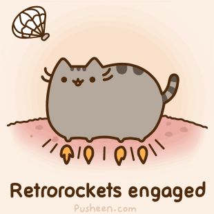 pusheen胖吉猫谁不爱