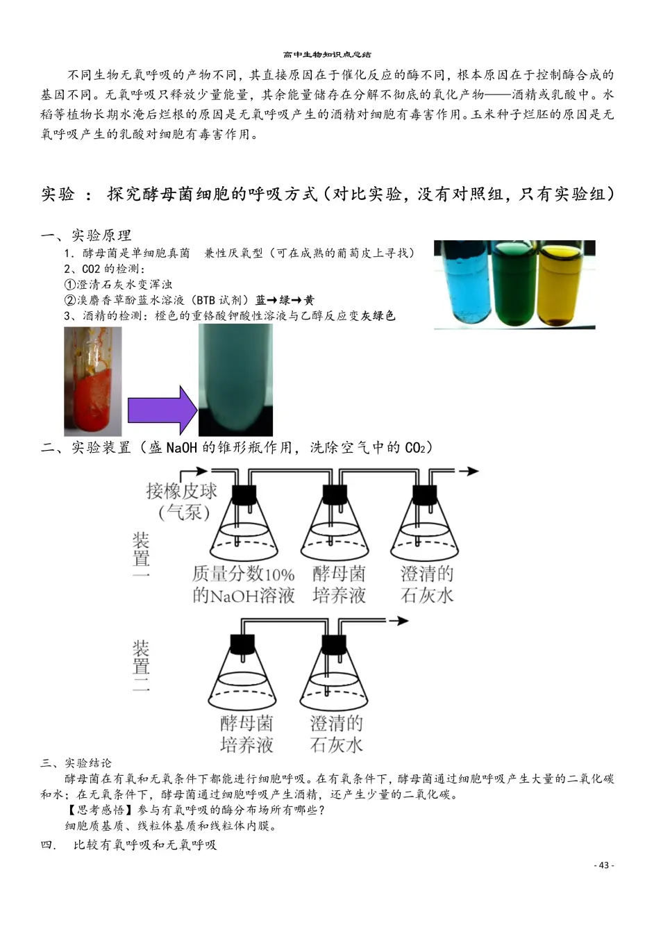 高中生物必修1 第5单元 全套考前知识点回归 附图片 问题答案 高中生必备 哔哩哔哩