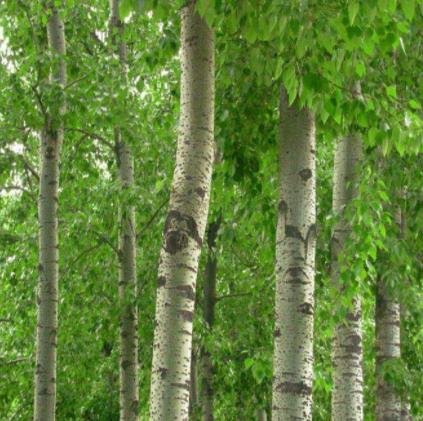 灵异杂谈-5民间禁忌 千万不要做的事