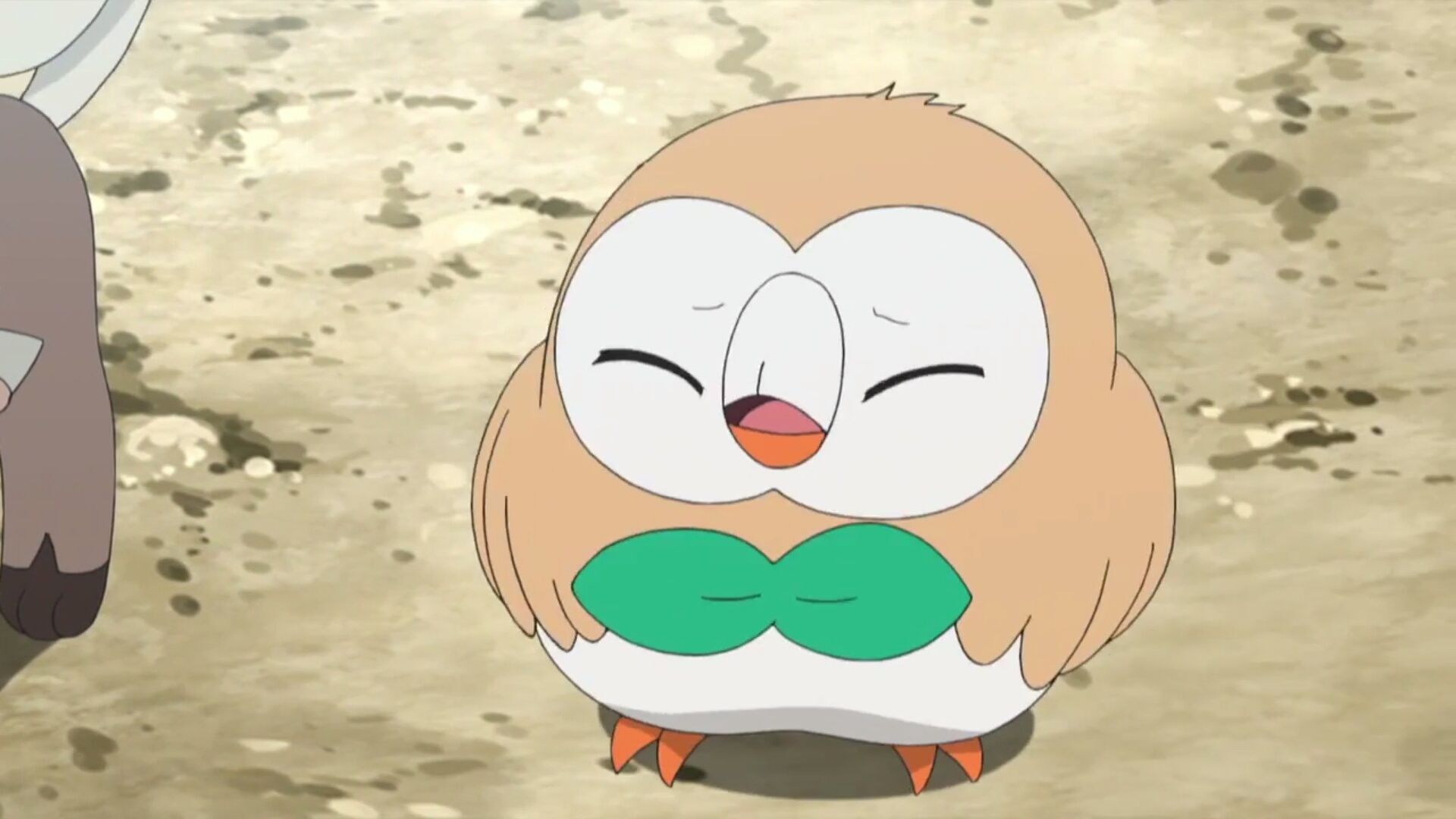 阿罗拉小日常 睡不着的木木枭 恼人的烦恼种子 哔哩哔哩