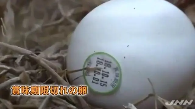 东京一住宅发现500具人骨 哔哩哔哩