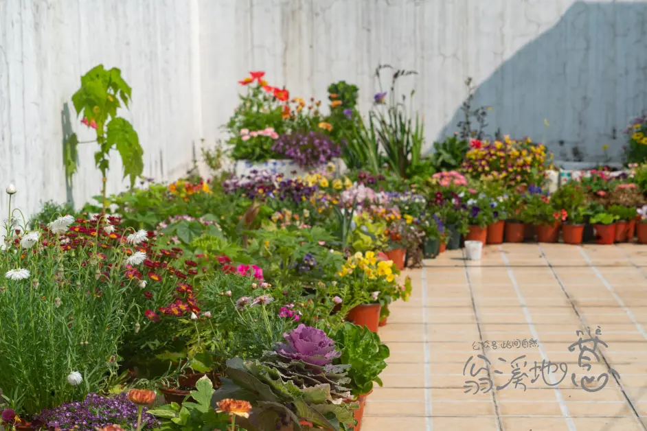 三月花事 渐入佳境 哔哩哔哩 三月花事 渐入佳境 哔哩哔哩