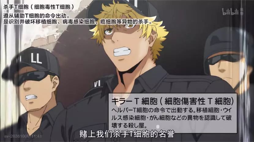 别光顾看血小板听carl老师给你讲工作细胞1