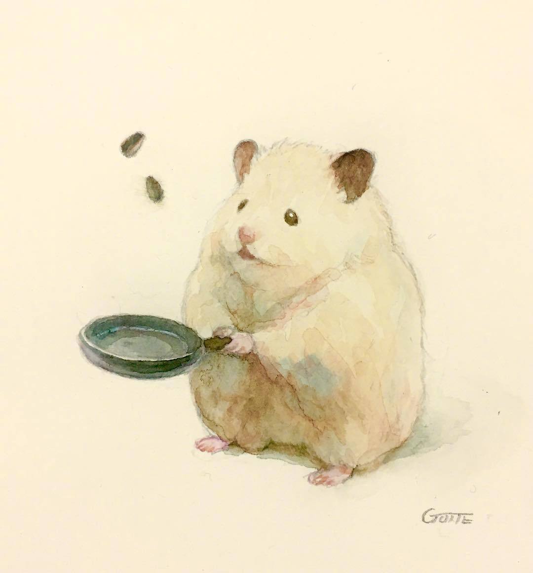 仓鼠精致的生活,是否像极了生活里的你我