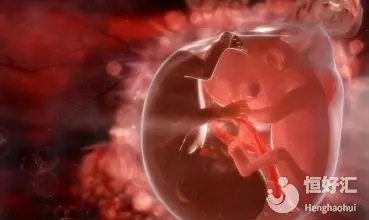 人工授精后注意事项 想成功怀孕的必看 哔哩哔哩