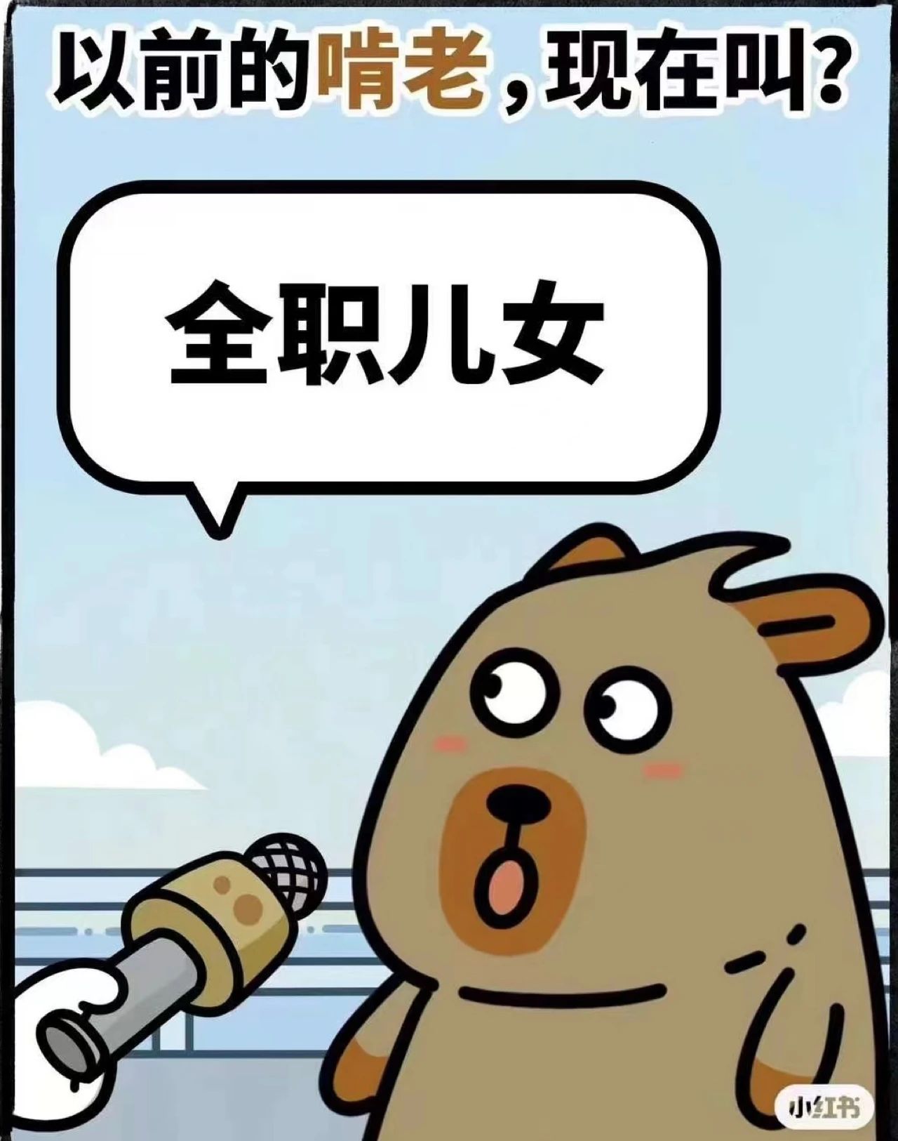 过去耳熟能详的名词都改了高大上的称呼5
