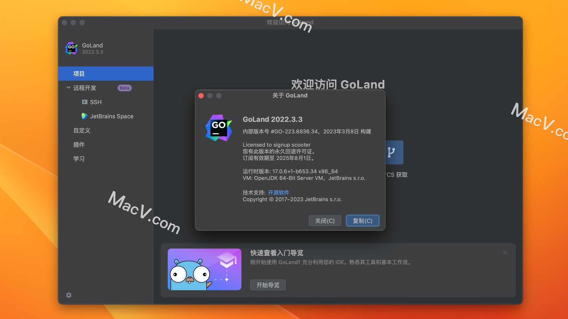 GoLand 2022 激活教程 JetBrains GoLand中文版 - 哔哩哔哩