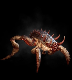 猎魔人的狩魔日记-齐齐摩