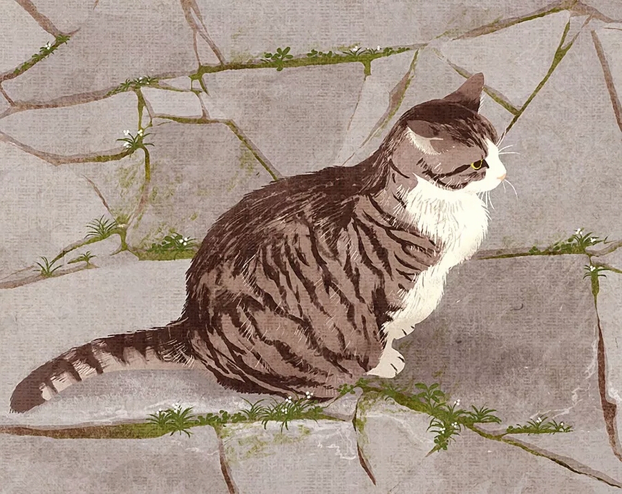 动漫人物壁纸 ·猫