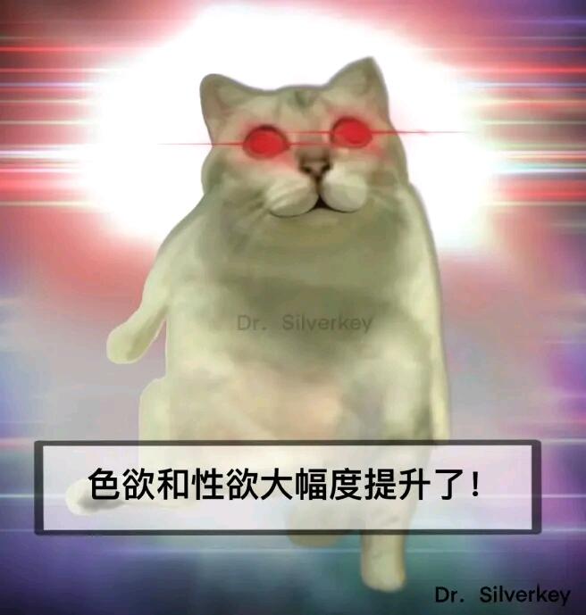 目前B站30个MUR猫专栏里面的表情包整合以及其他MUR表情 - 哔哩哔哩