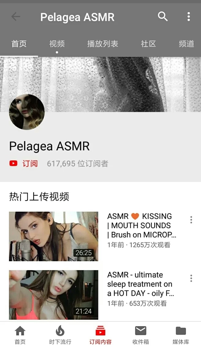 国外ASMR视频主(关注量的解析)(在B站比较知