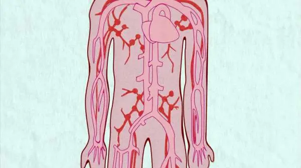 あにこ便搬运 はたらく細胞 第1話 前編 台詞 体内の神秘はこうなっている 哔哩哔哩