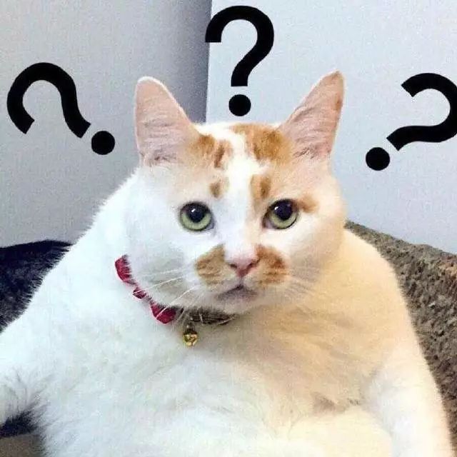 我的猫,差点被自动猫砂盆卡死!品牌方回复:再卡