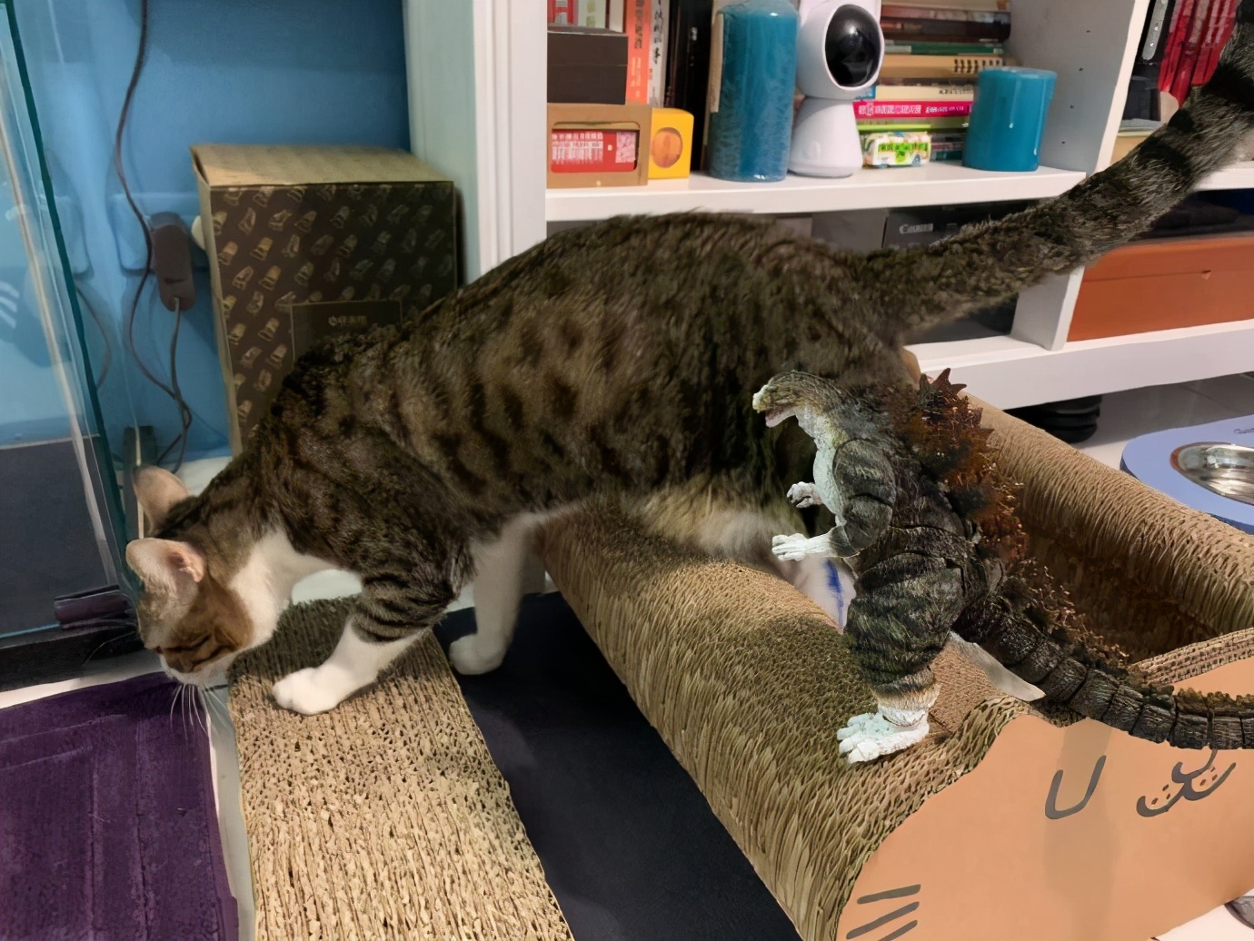 可爱宠物猫配色哥斯拉模型"哥斯喵"