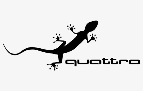 一只壁虎的成长故事,奥迪品牌的技术图腾-quattro