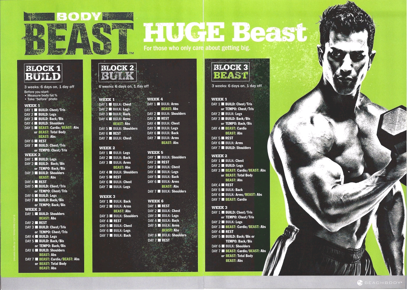 Body Beast 