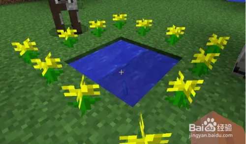 Twilight Forest Portal