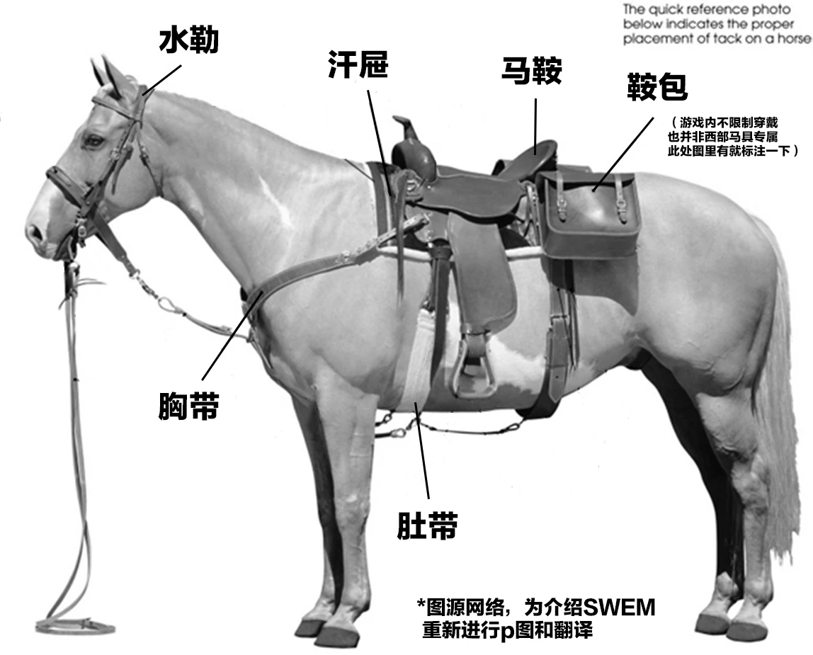 【马术模组SWEM】常见问题解答:获取SWEM马、马具穿戴、骑马 - 哔哩哔哩