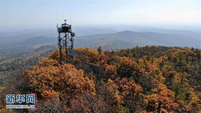 看不到敌人的战场消防员致凉山烈士
