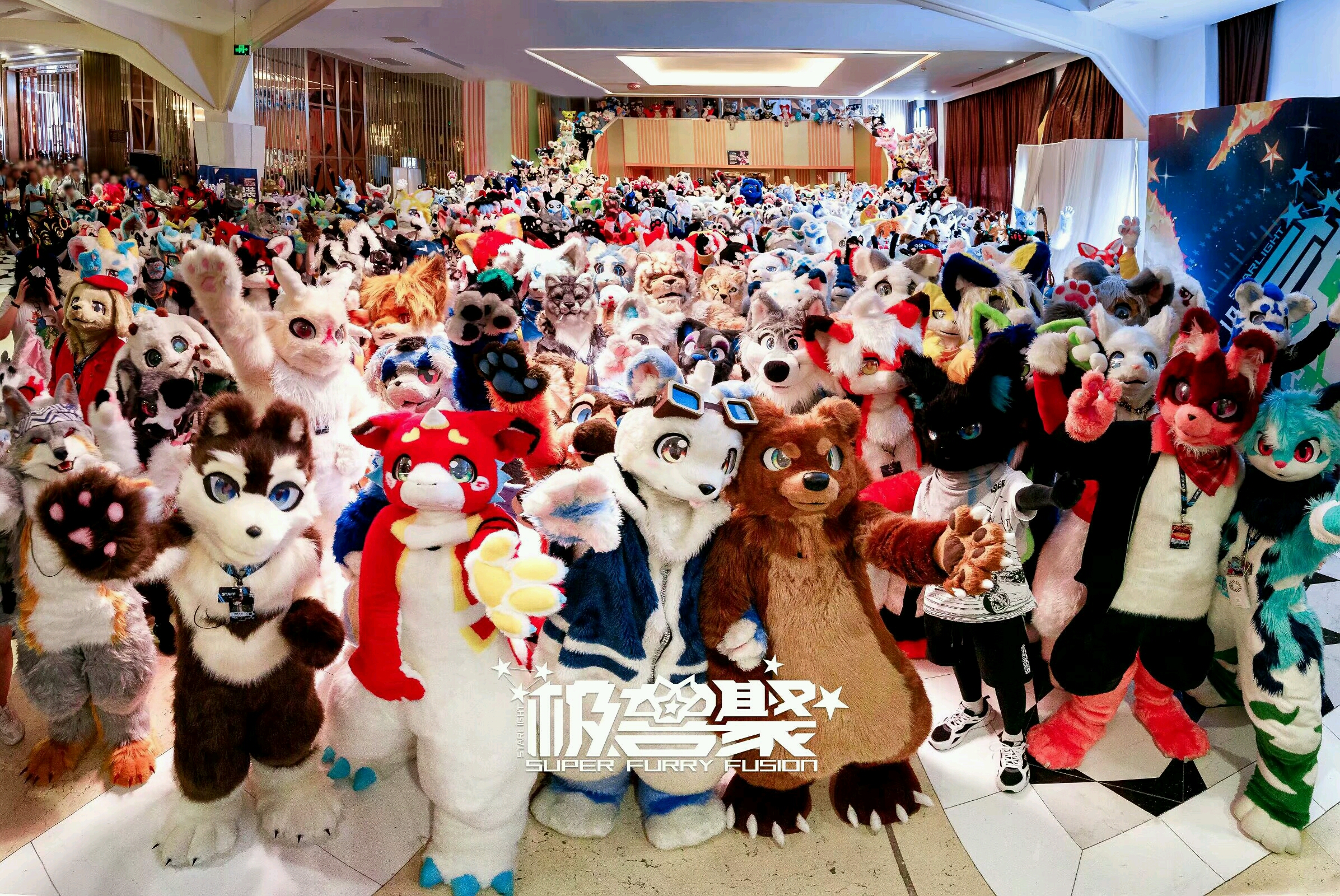 致各位兽圈同好——我忍无可忍了