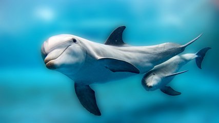 现在才知道的冷知识