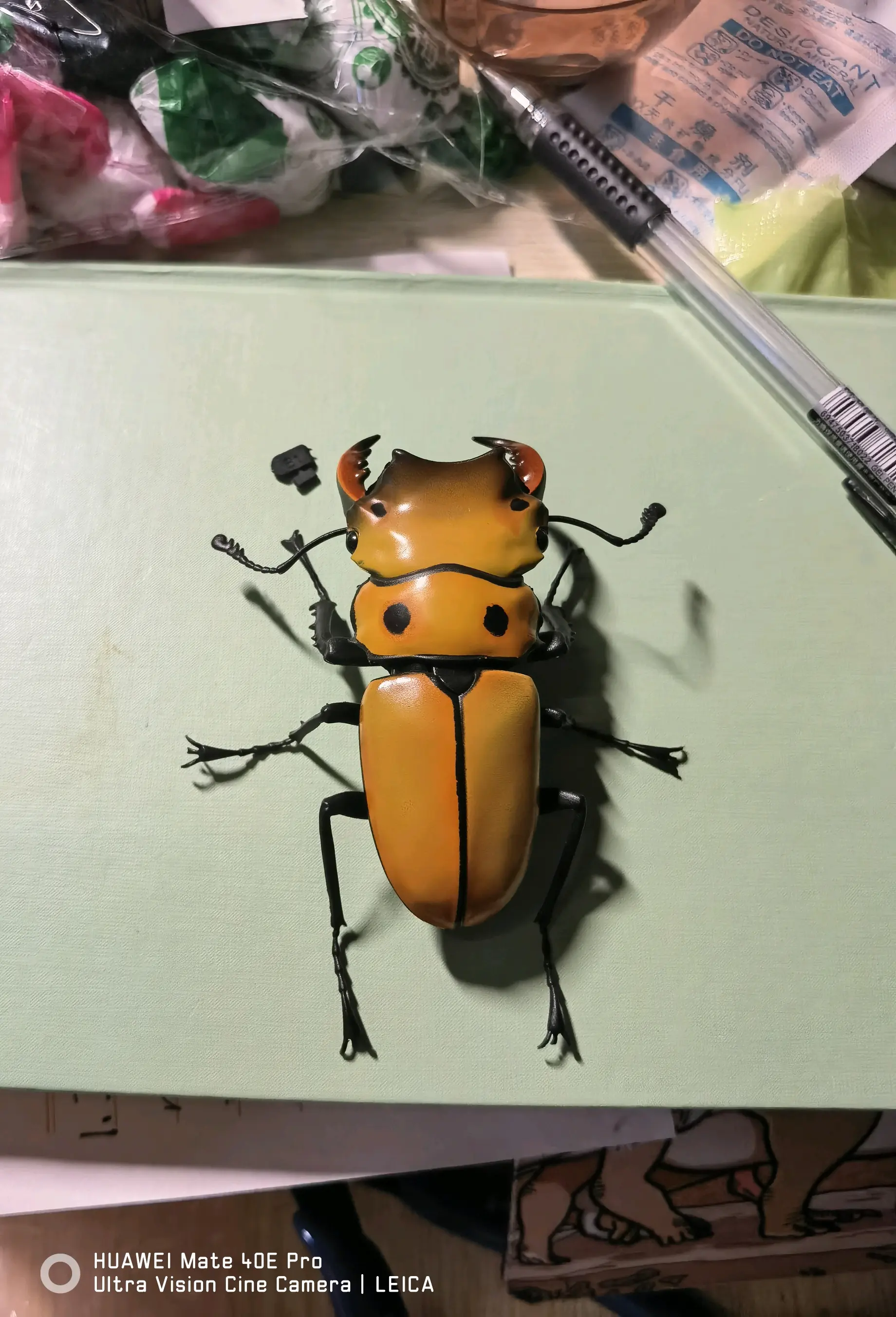 大王虎甲,我这次最期待的物种,就是为了这点醋包的这顿饺子.做的还