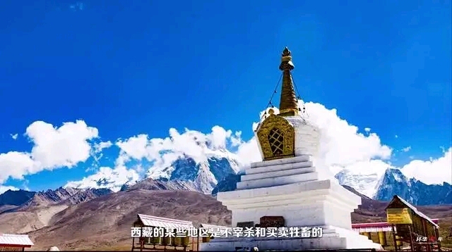 B站up主神操作!五菱面包车环华十年