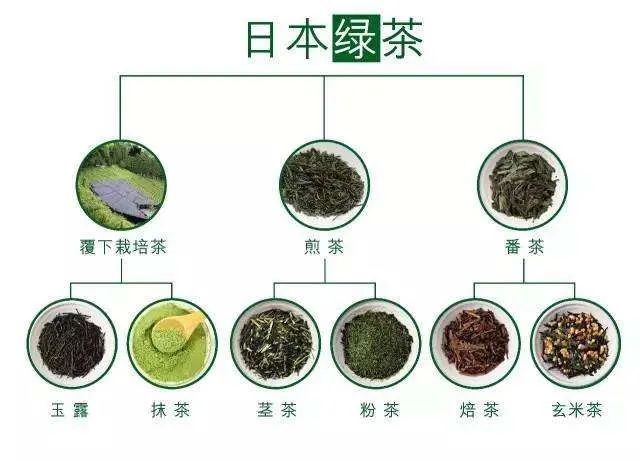 全讯600cc大白菜贵州水城：科技赋能强产业 人才帮带促增收