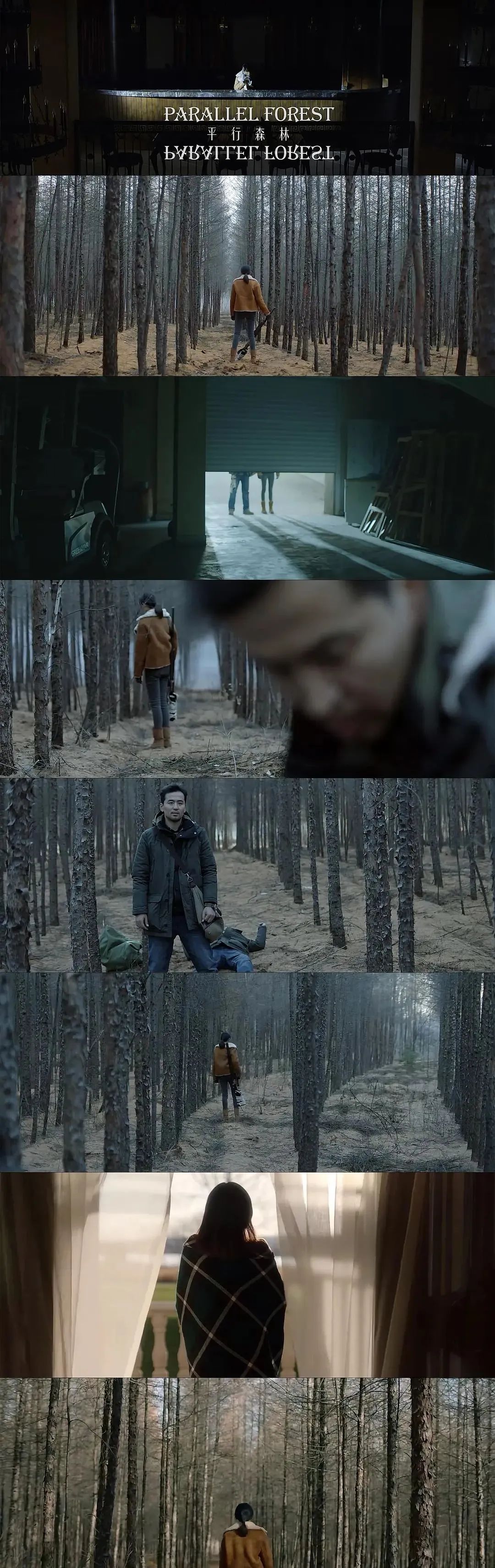 图片[14]-土猛土猛的电影，土猛土猛的导演《平行森林》-68影视