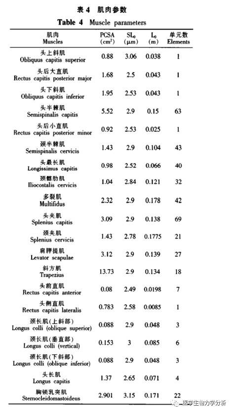 带肌肉组织全颈椎三维有限元模型的建立及分析 哔哩哔哩