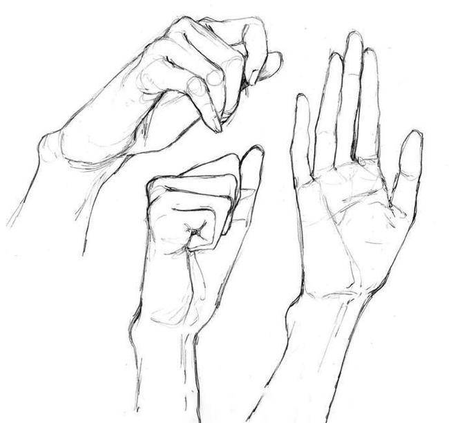 想知道手怎么画吗