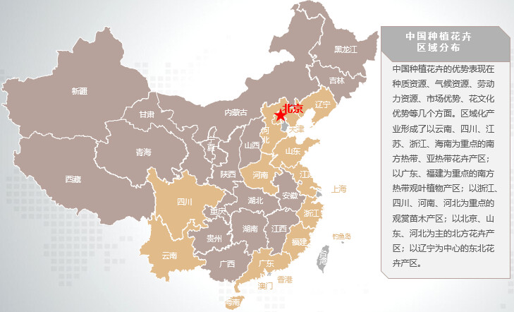会议租花：让您的活动更加精彩