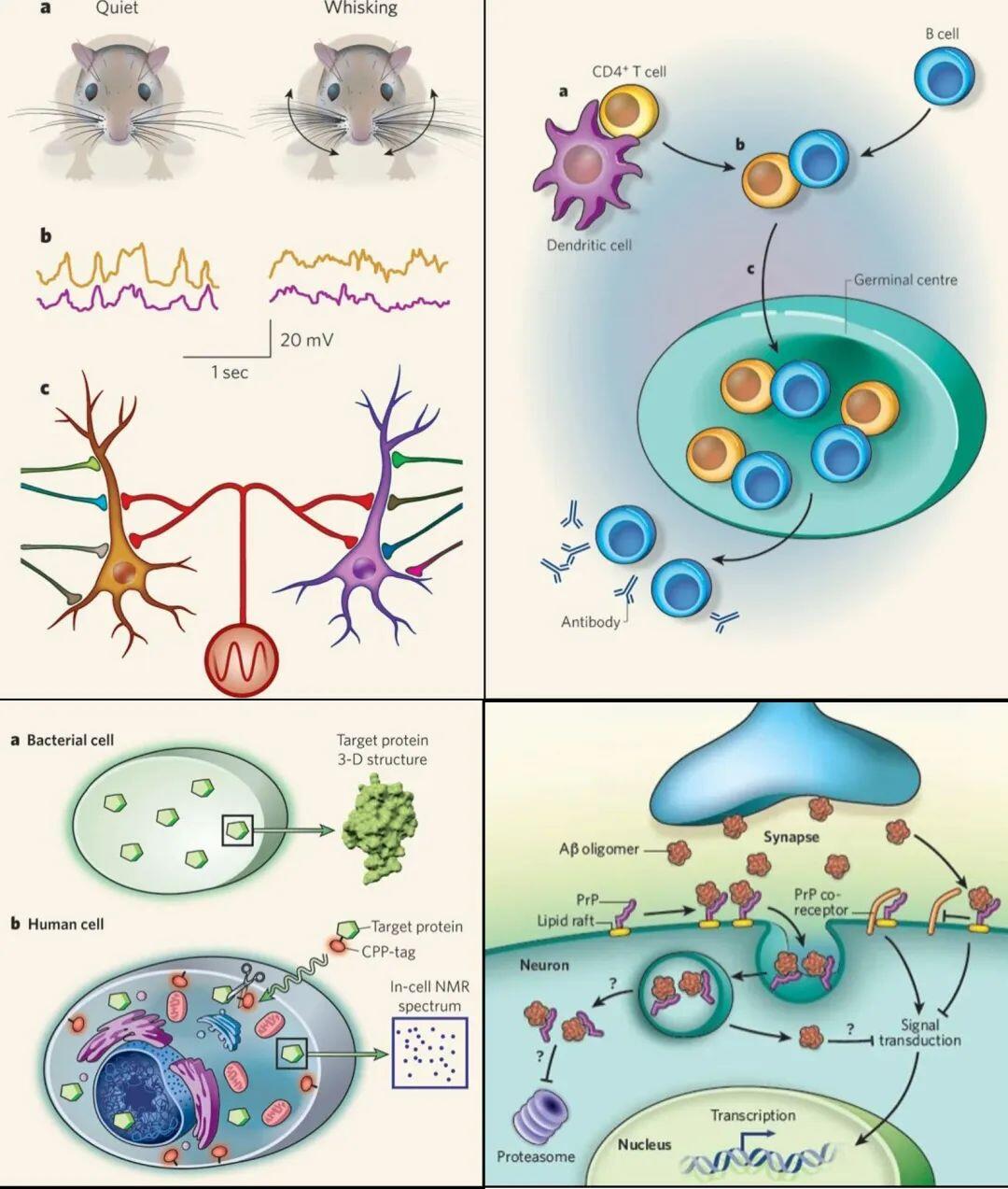 4000张绝美Nature&Science插图配色高级，构图完美! - 哔哩哔哩