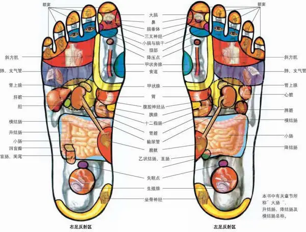 凭一双脚看穿你健康的"全息"医学