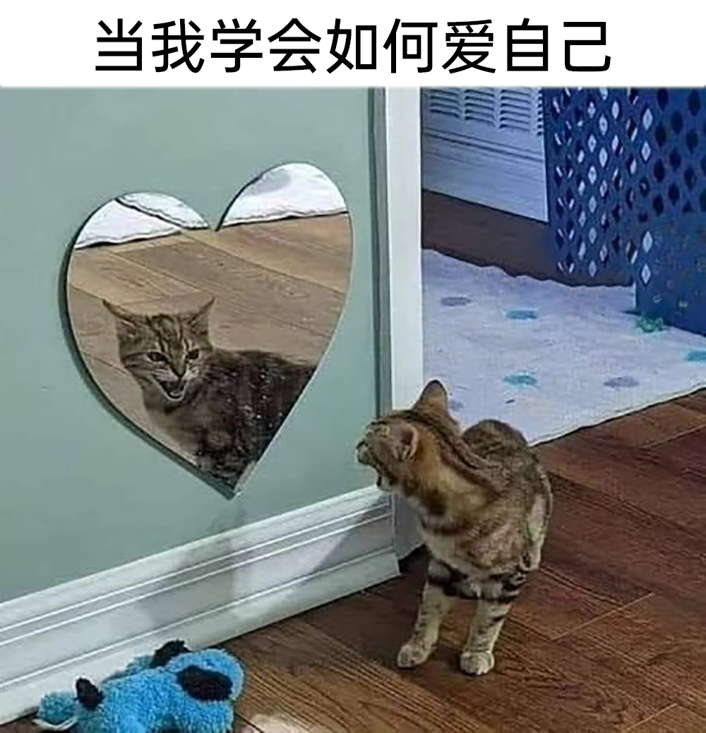 meme梗图:当我终于意识一直在用移动网络刷视频 - 哔哩哔哩