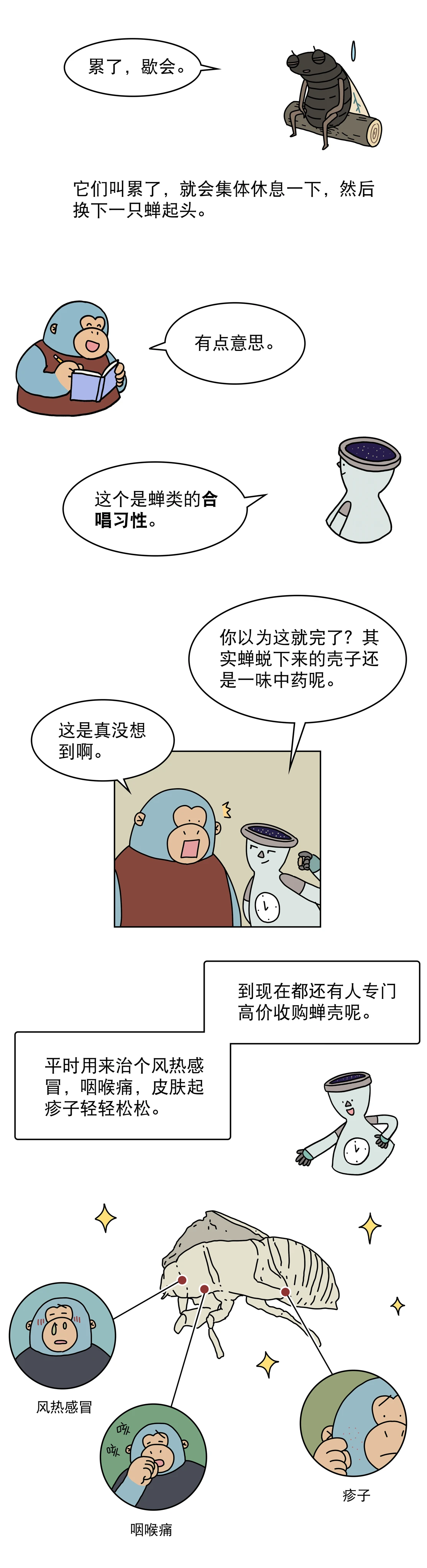 蝉为什么总是一起叫一起停6