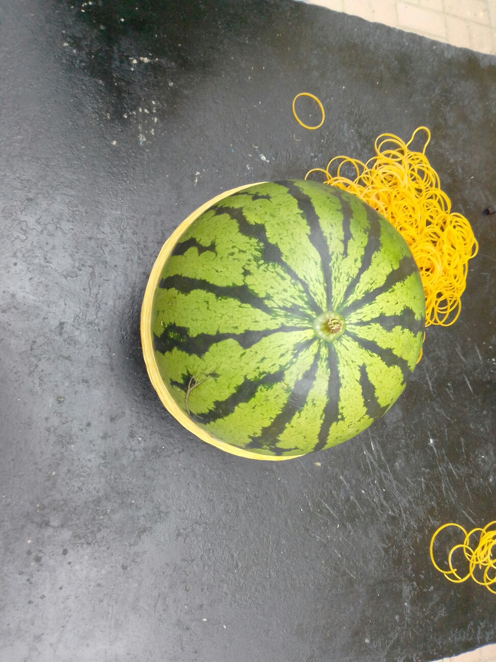 [西瓜爆炸问题不大]实验一:国产皮筋vs国产西瓜