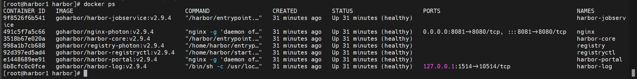 image-20240425011115163