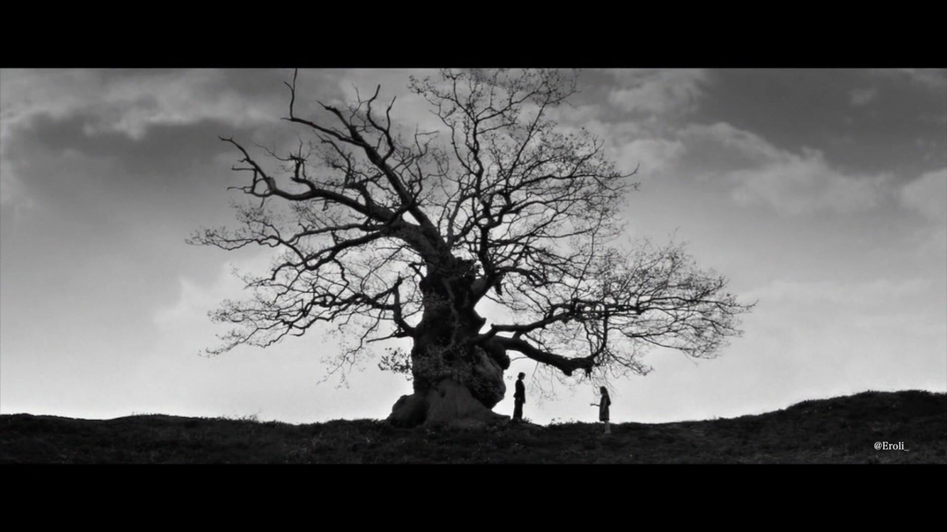 把水仙根粉末倒入苦艾浸液会得到什么