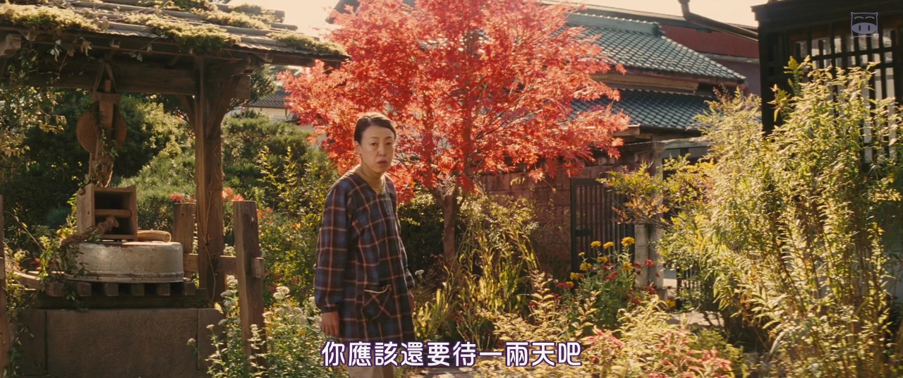 《家族之苦3》:最重要的那个人