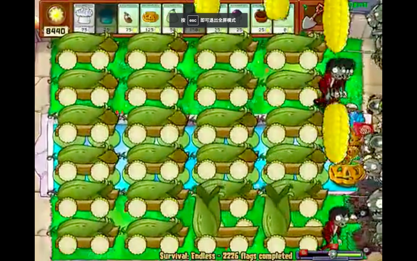 pvz泳池无尽的几种基本阵型