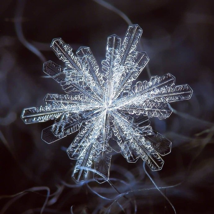 下小雪花图片真实图片